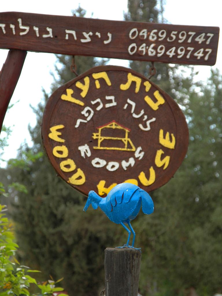 החצר